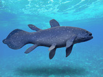 Coelacanth in ocean